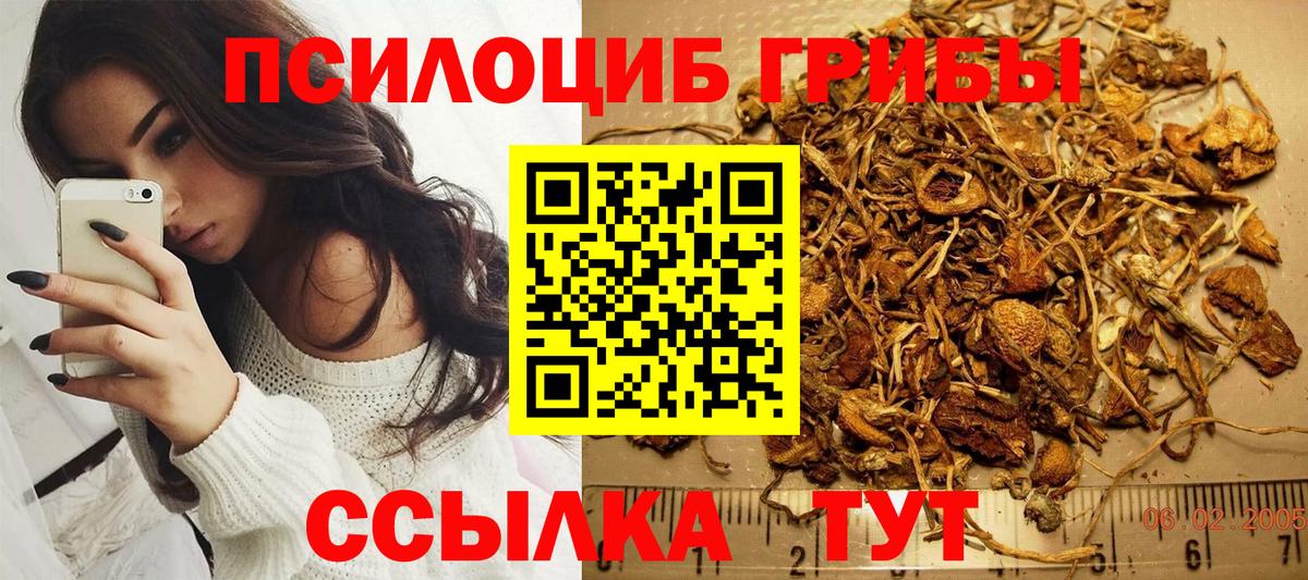 Первоуральск  Галлюциногенные грибы мицелий  Вход с VPN 